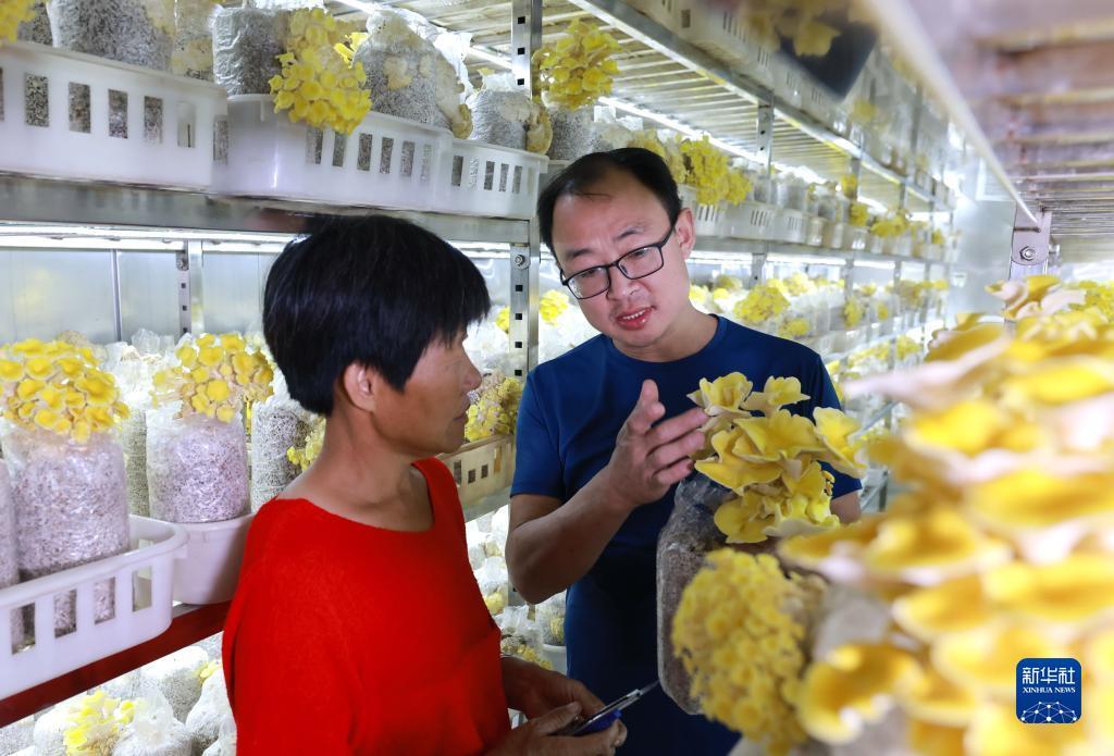 澳门幸运6点规则